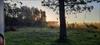 Thumbnail of Photo Number 1001