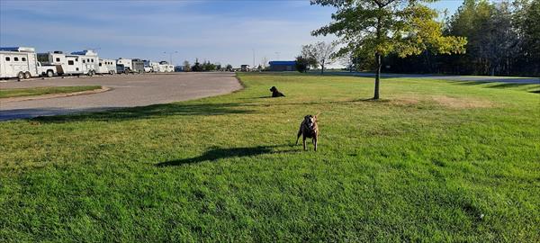 Photo Number 1005