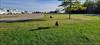 Thumbnail of Photo Number 1005
