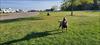 Thumbnail of Photo Number 1006