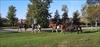 Thumbnail of Photo Number 1007