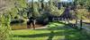 Thumbnail of Photo Number 1028