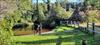 Thumbnail of Photo Number 1029