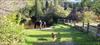 Thumbnail of Photo Number 1031
