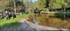 Thumbnail of Photo Number 1032