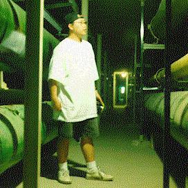 Photo Number 171