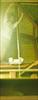Thumbnail of Photo Number 213