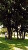 Thumbnail of Photo Number 218