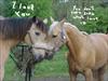 Thumbnail of Photo Number 254