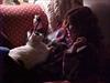 Thumbnail of Photo Number 262