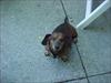 Thumbnail of Photo Number 274