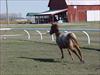 Thumbnail of Photo Number 299