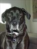 Thumbnail of Photo Number 312