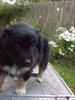 Thumbnail of Photo Number 313