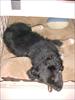 Thumbnail of Photo Number 314