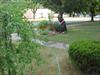 Thumbnail of Photo Number 315