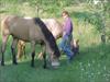 Thumbnail of Photo Number 328