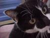 Thumbnail of Photo Number 348