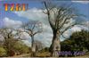 Thumbnail of Photo Number 434