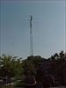 Thumbnail of Photo Number 626