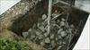 Thumbnail of Photo Number 657