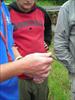 Thumbnail of Photo Number 736