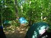 Thumbnail of Photo Number 739