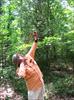 Thumbnail of Photo Number 781