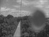 Thumbnail of Photo Number 799