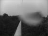 Thumbnail of Photo Number 802