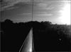 Thumbnail of Photo Number 804