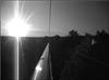 Thumbnail of Photo Number 805