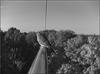 Thumbnail of Photo Number 806