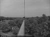 Thumbnail of Photo Number 818