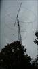 Thumbnail of Photo Number 831