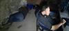 Thumbnail of Photo Number 914