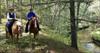 Thumbnail of Photo Number 967