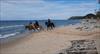 Thumbnail of Photo Number 972