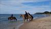 Thumbnail of Photo Number 973