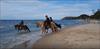 Thumbnail of Photo Number 974