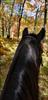 Thumbnail of Photo Number 997
