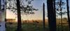 Thumbnail of Photo Number 998