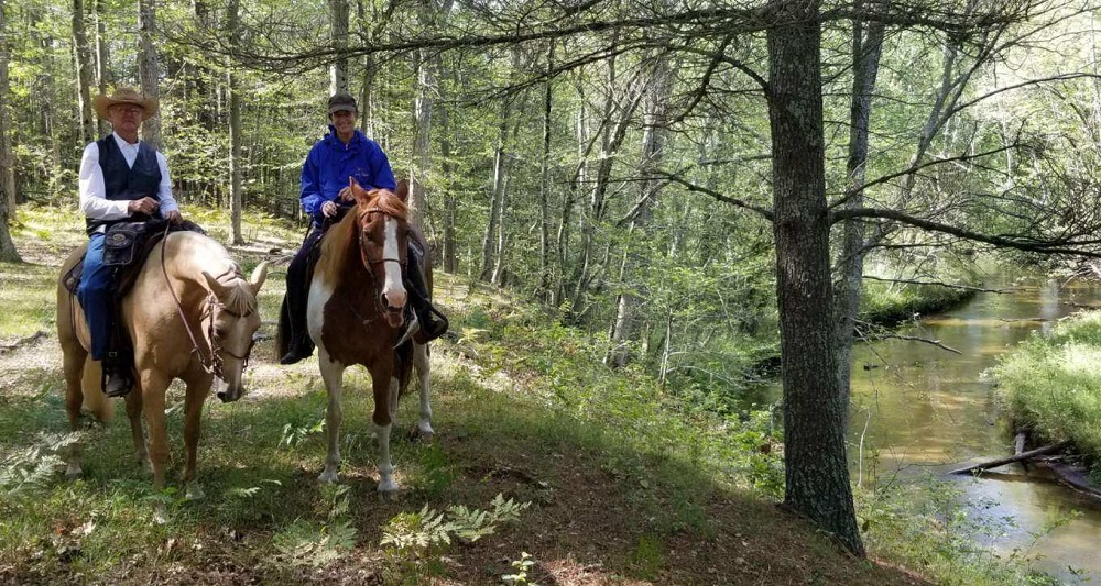 Horseback image