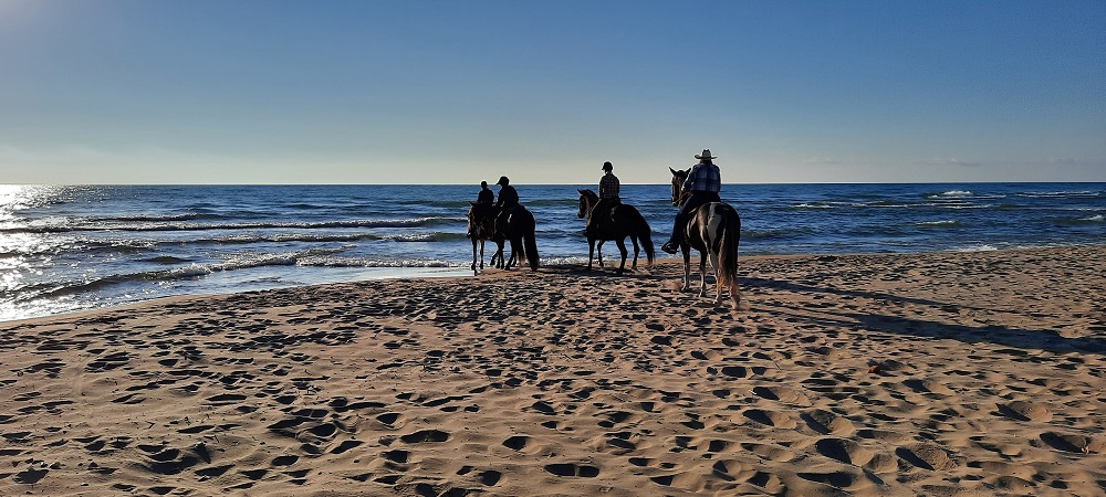 Horseback image